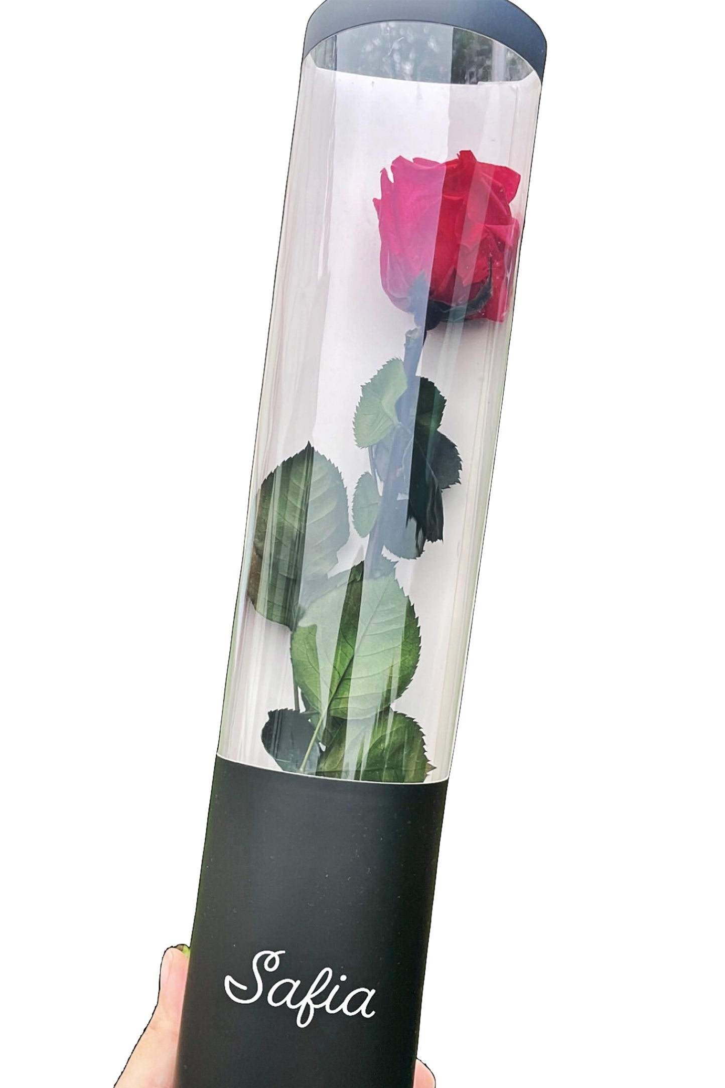 Rose Éternelle Majestueuse