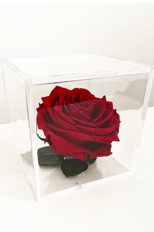 Box Éternelle Crystal