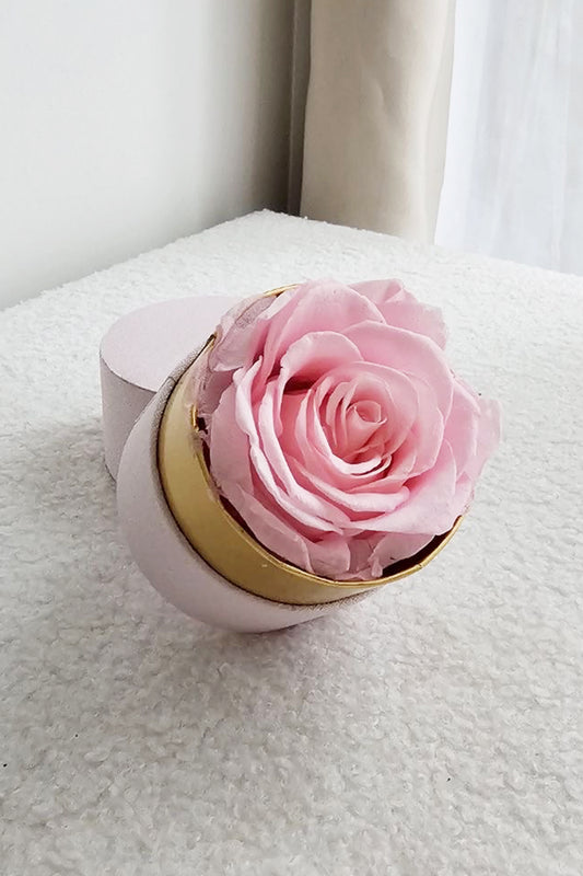 Rose Éternelle Solitaire