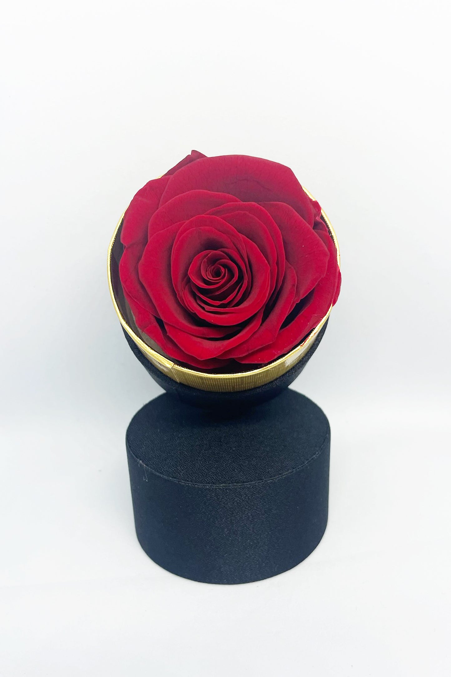 Rose Éternelle Solitaire
