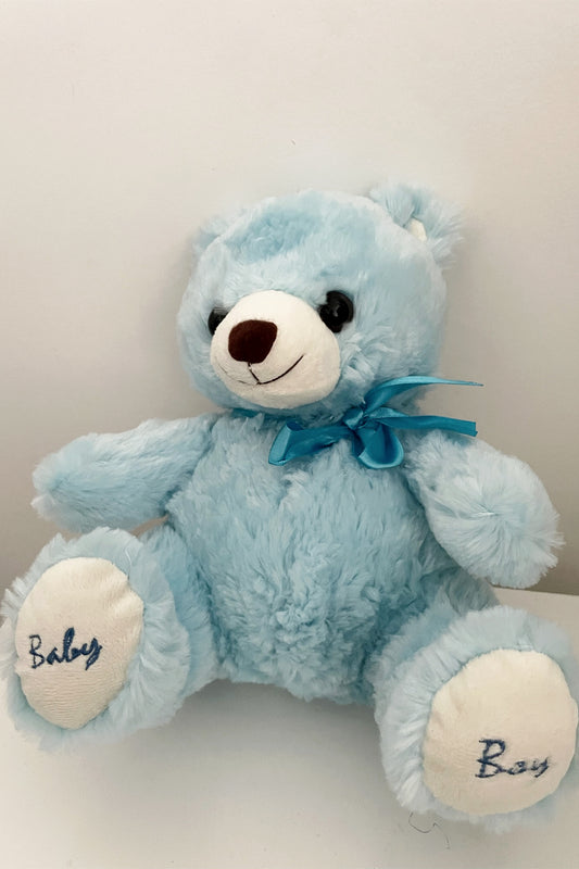 Teddy Bleu Baby Boy